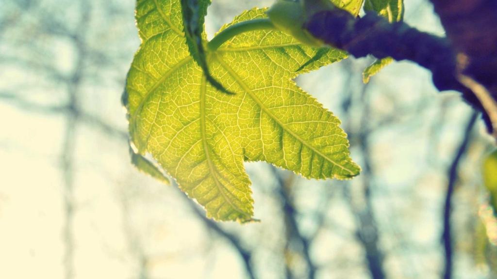 [2026 최신] 중소기업 AI 도입 지원금 신청 2026 성공 전략 및 완벽 가이드