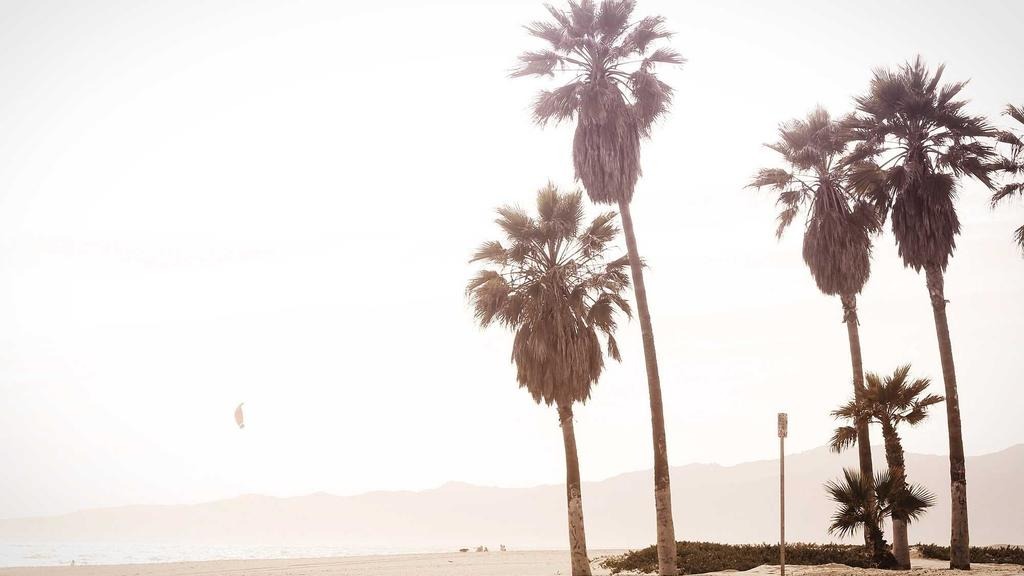 중소기업 기술유출 방지 솔루션 추천 비교 TOP 5 (2026년)